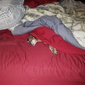 Meet your Posher, Tabitha